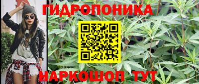 амф Кулебаки