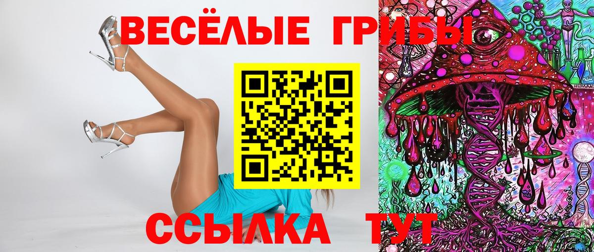 Железноводск  Псилоцибиновые грибы Cubensis  Вход с VPN 