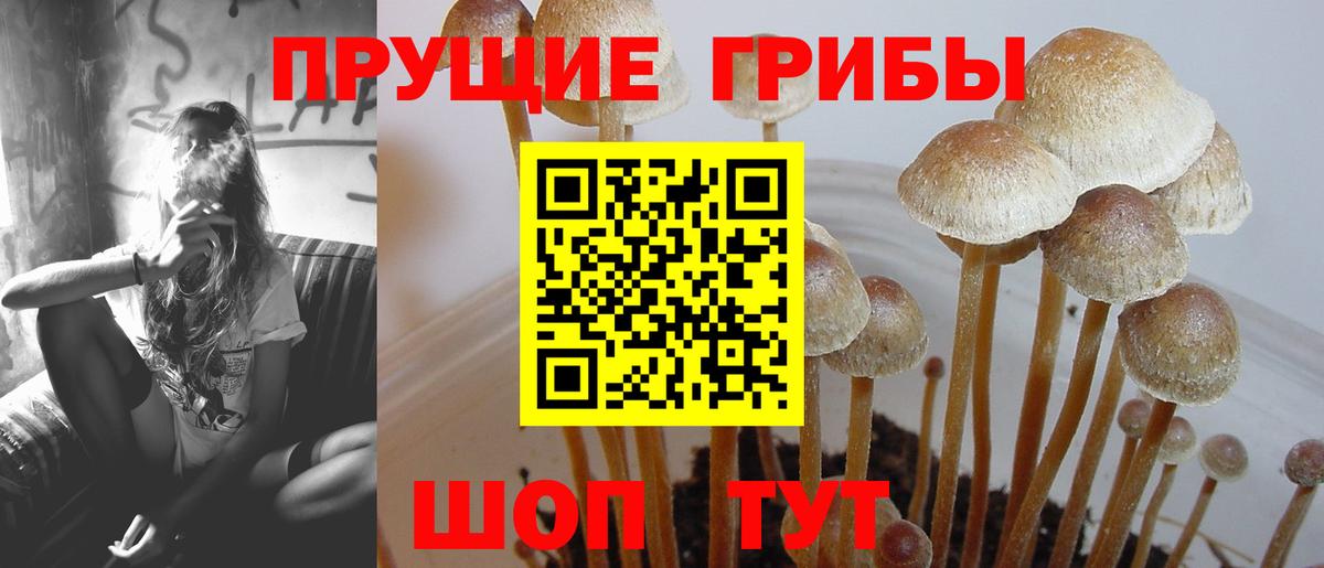 Галлюциногенные грибы мицелий Железноводск